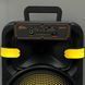 Бездротова Bluetooth караоке-колонка з двома мікрофонами з пультом ДУ та RGB-підсвічуванням портативний сабвуфер 20W(SW222) 109000139100 фото 4