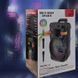 Бездротова Bluetooth караоке-колонка з двома мікрофонами з пультом ДУ та RGB-підсвічуванням портативний сабвуфер 20W(SW222) 109000139100 фото 9
